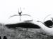 Detail fuselage. W.29 2204 prototype (AL0459-201)